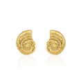 Boucles Coquillages