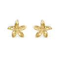 Boucles Tahiti