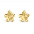 Boucles Fleurs